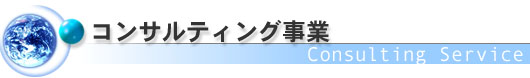 �R���T���e�B���O����