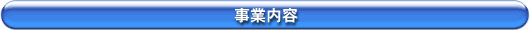 ���Ɠ��e