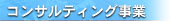 �R���T���e�B���O����
